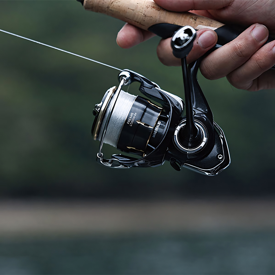 DAIWA 2026 FREAMS Spinning Ree - đánh giá và giá Daiwa Reel Bg