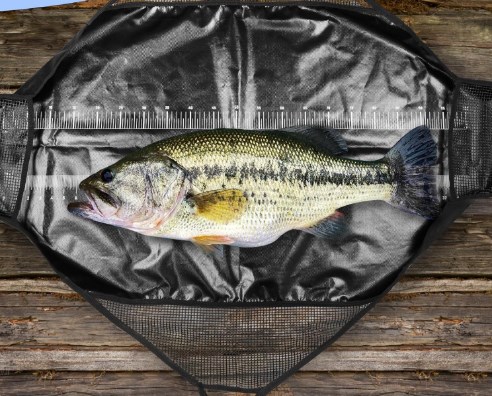 Photographed Fishing Unhooking - đánh giá và giá Fishing Bag Waterproof