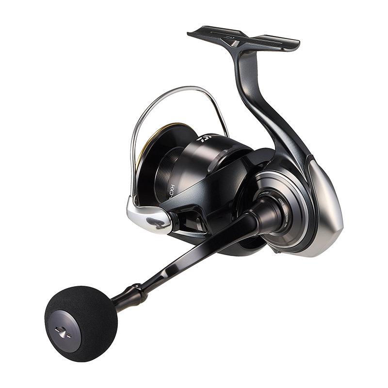 DAIWA 2026 Certate HD Fishing  - đánh giá và giá Daiwa Reel Bg